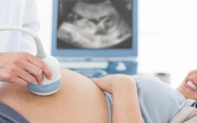 ¿Cúando se hace la primera ecografía en el embarazo?