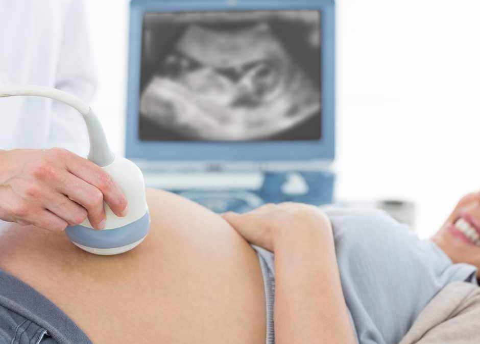¿Cúando se hace la primera ecografía en el embarazo?