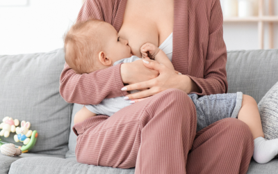 Alimentación en lactancia: Guía completa para una lactancia materna exitosa