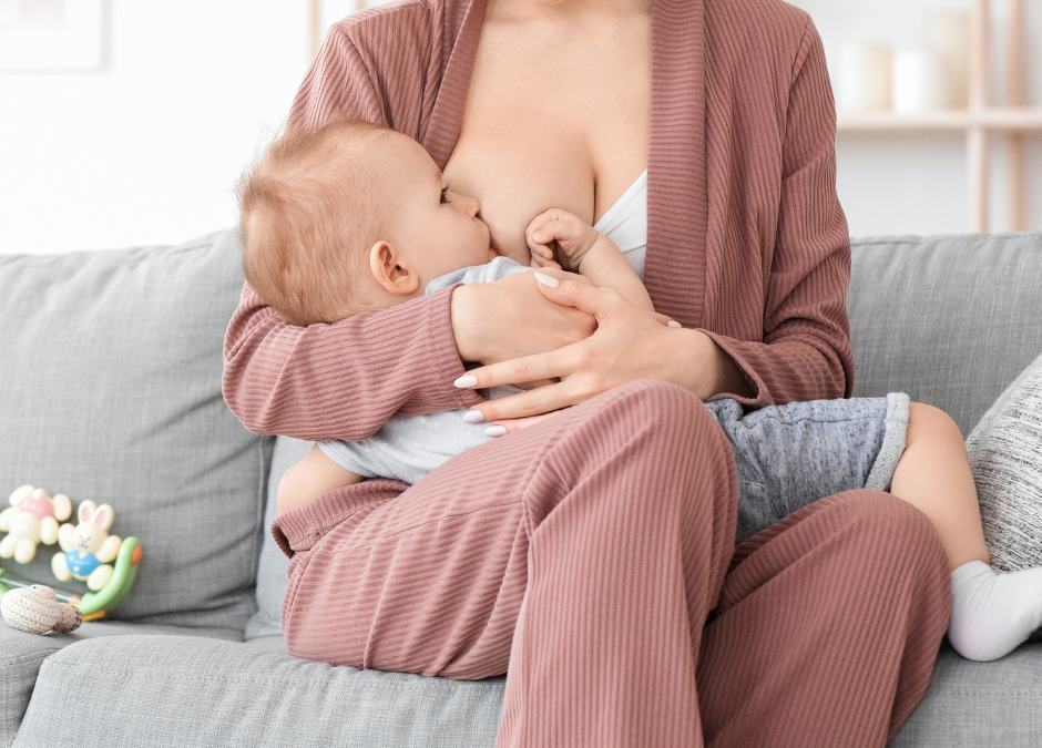 Alimentación en lactancia: Guía completa para una lactancia materna exitosa